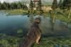 Noticia Por fin puedes jugar como un dinosaurio de Jurassic World Evolution 2 con este espectacular mod